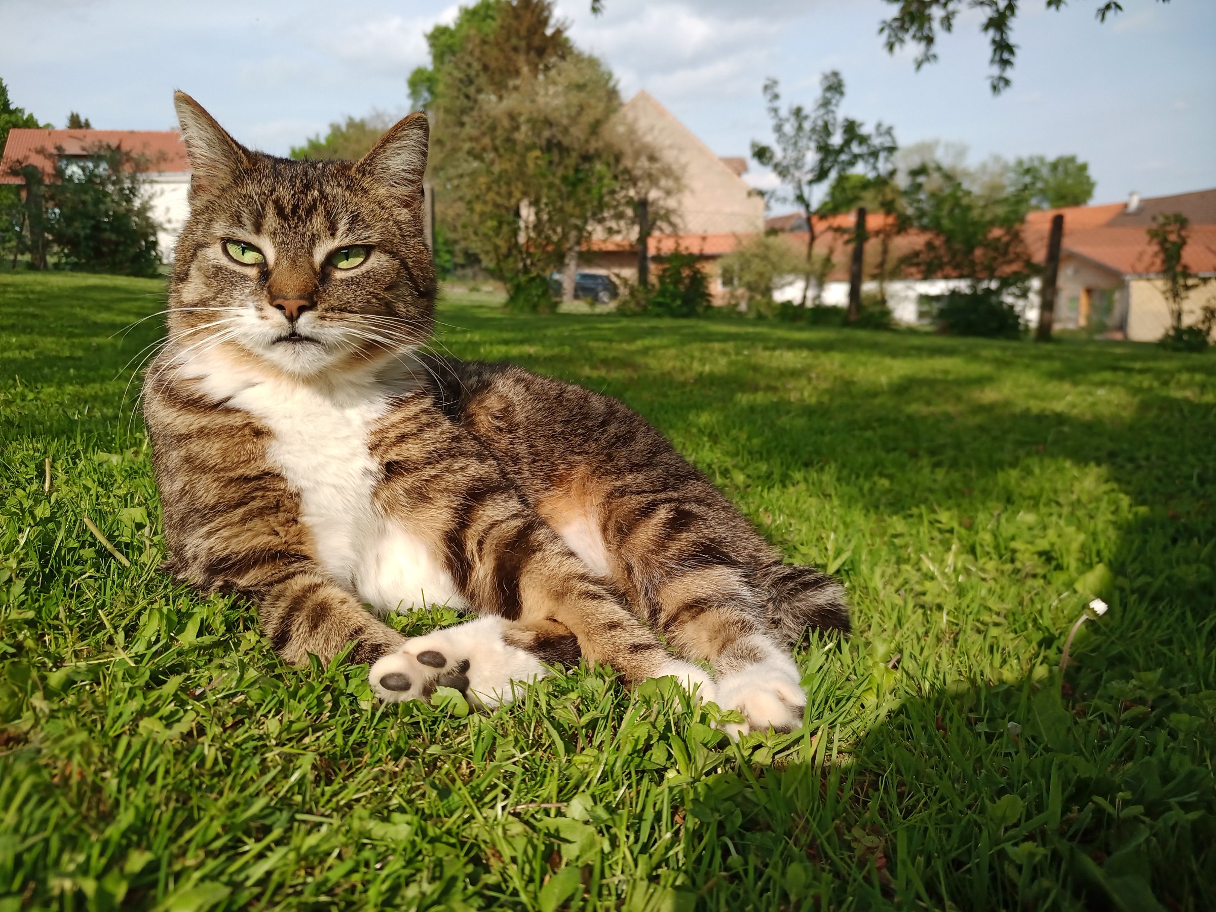 IMG 20220513 173620 530