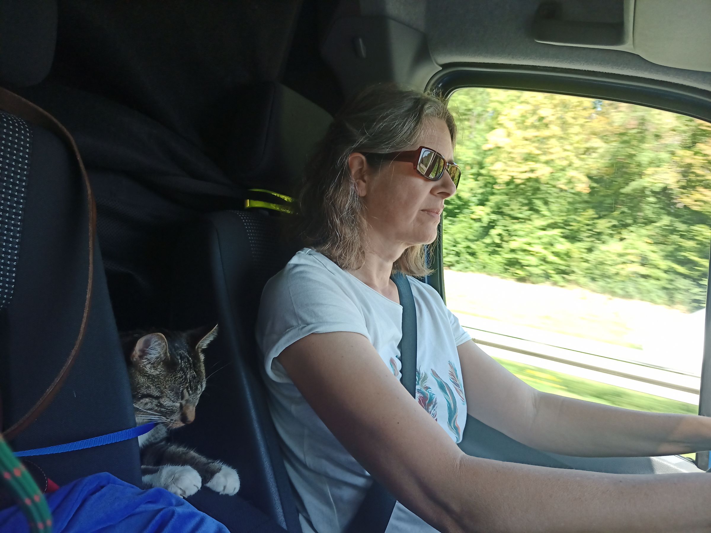 Aufbruch in den Süden