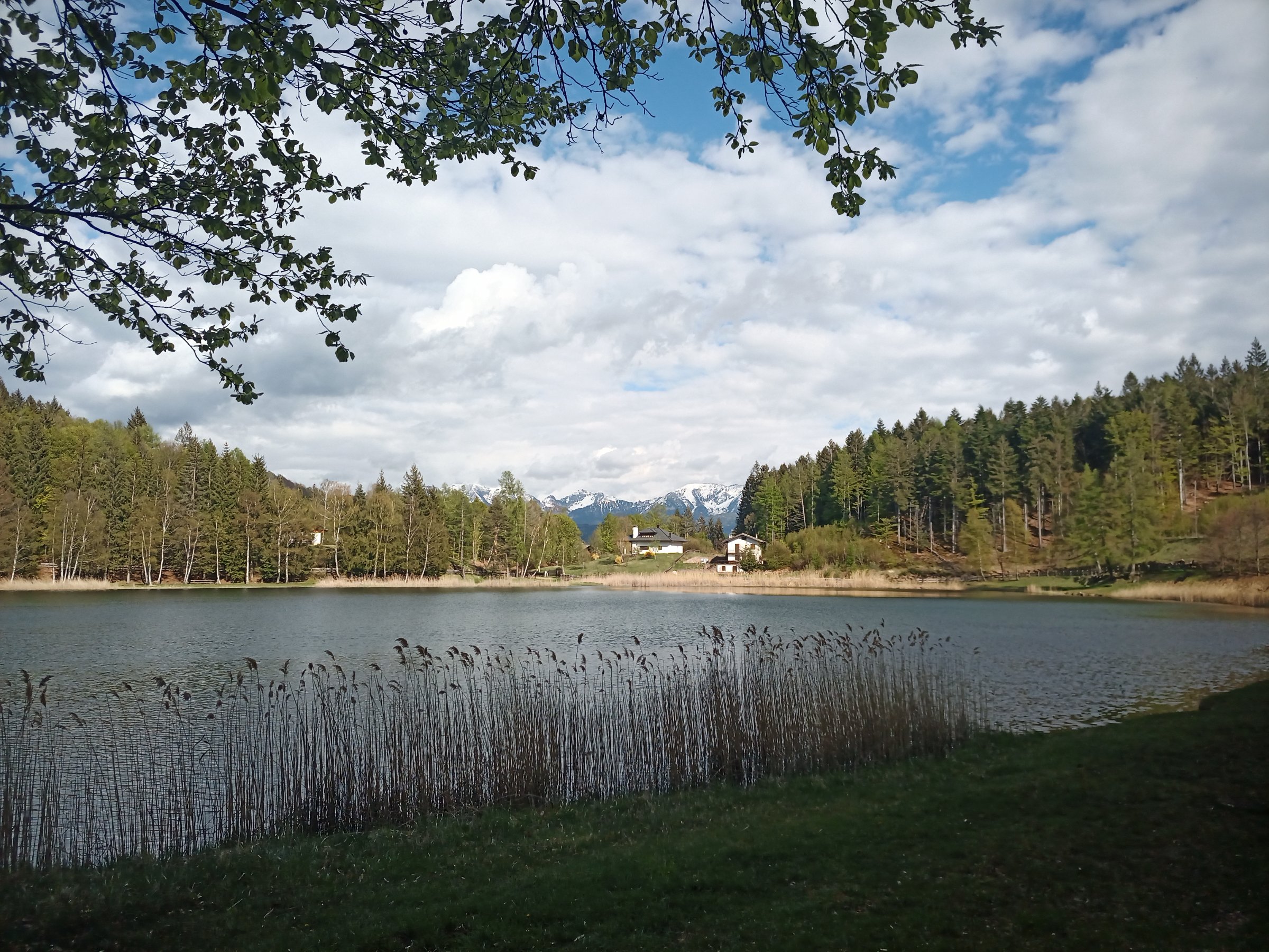 IMG 20230503 170804 023