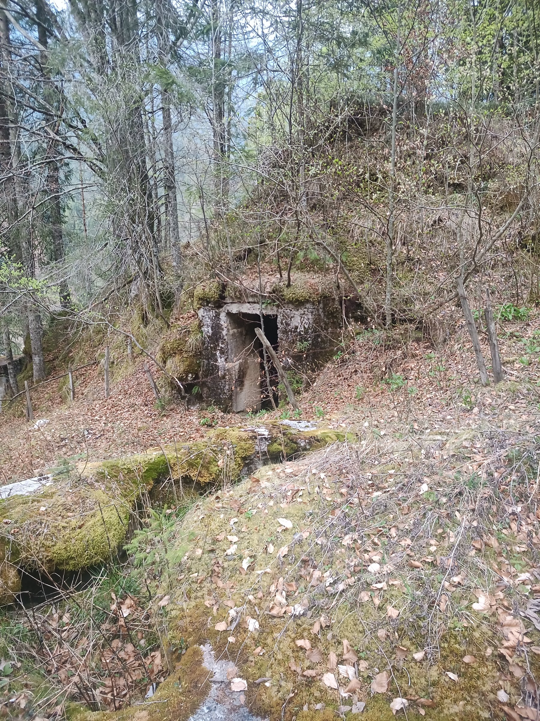 IMG 20230504 195303 920