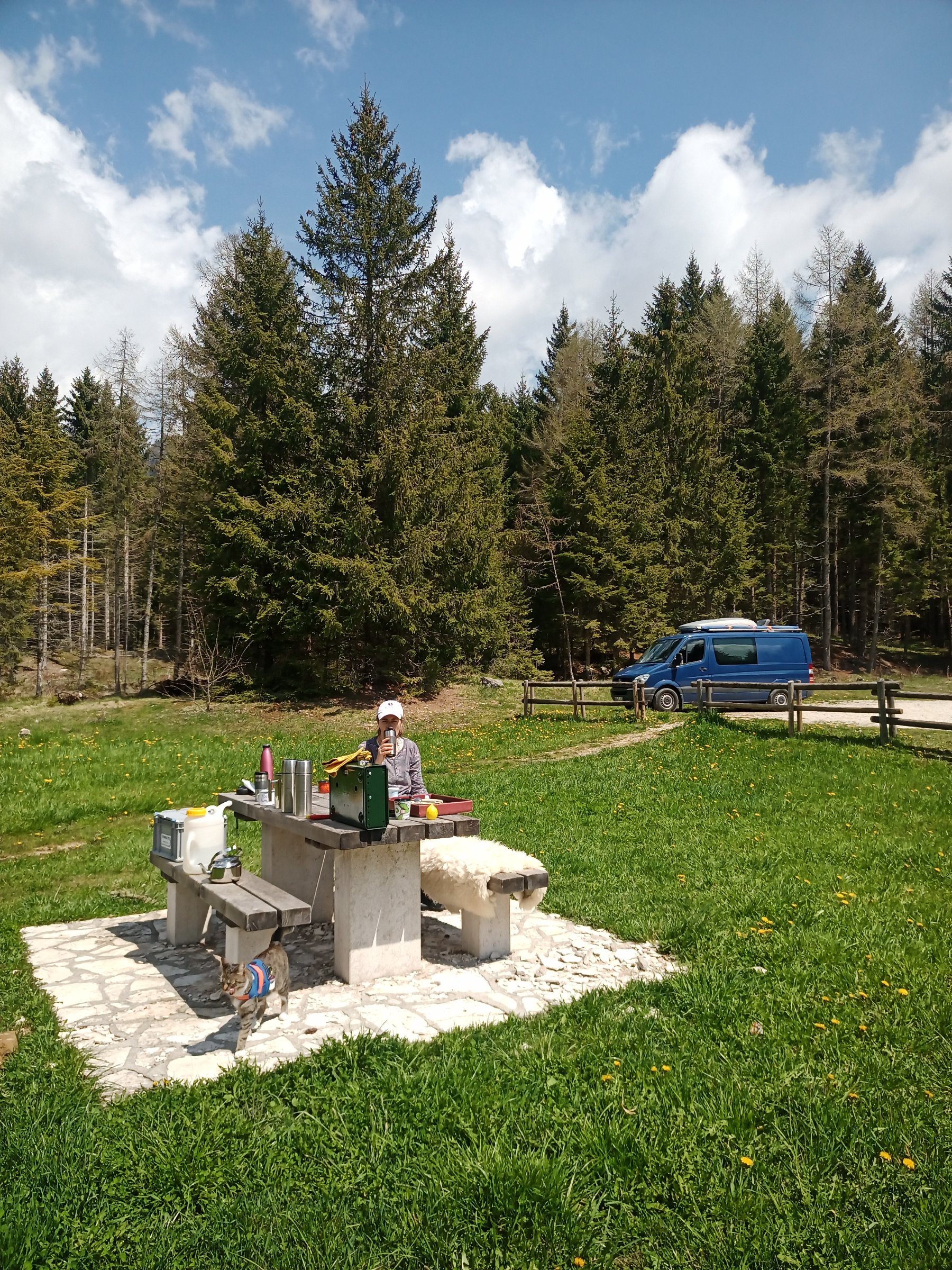 IMG 20230505 122900 125