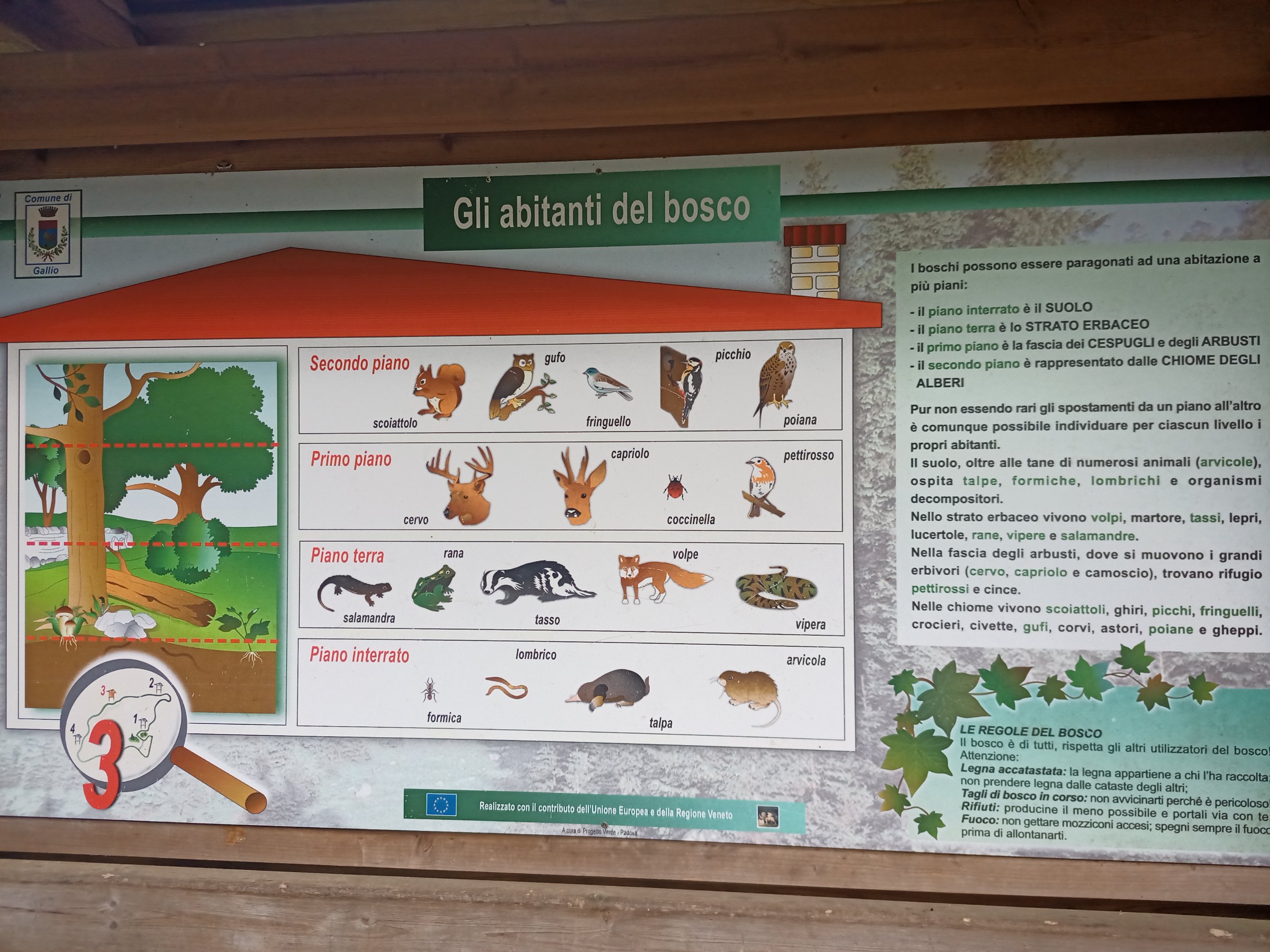 IMG 20230505 151606 163