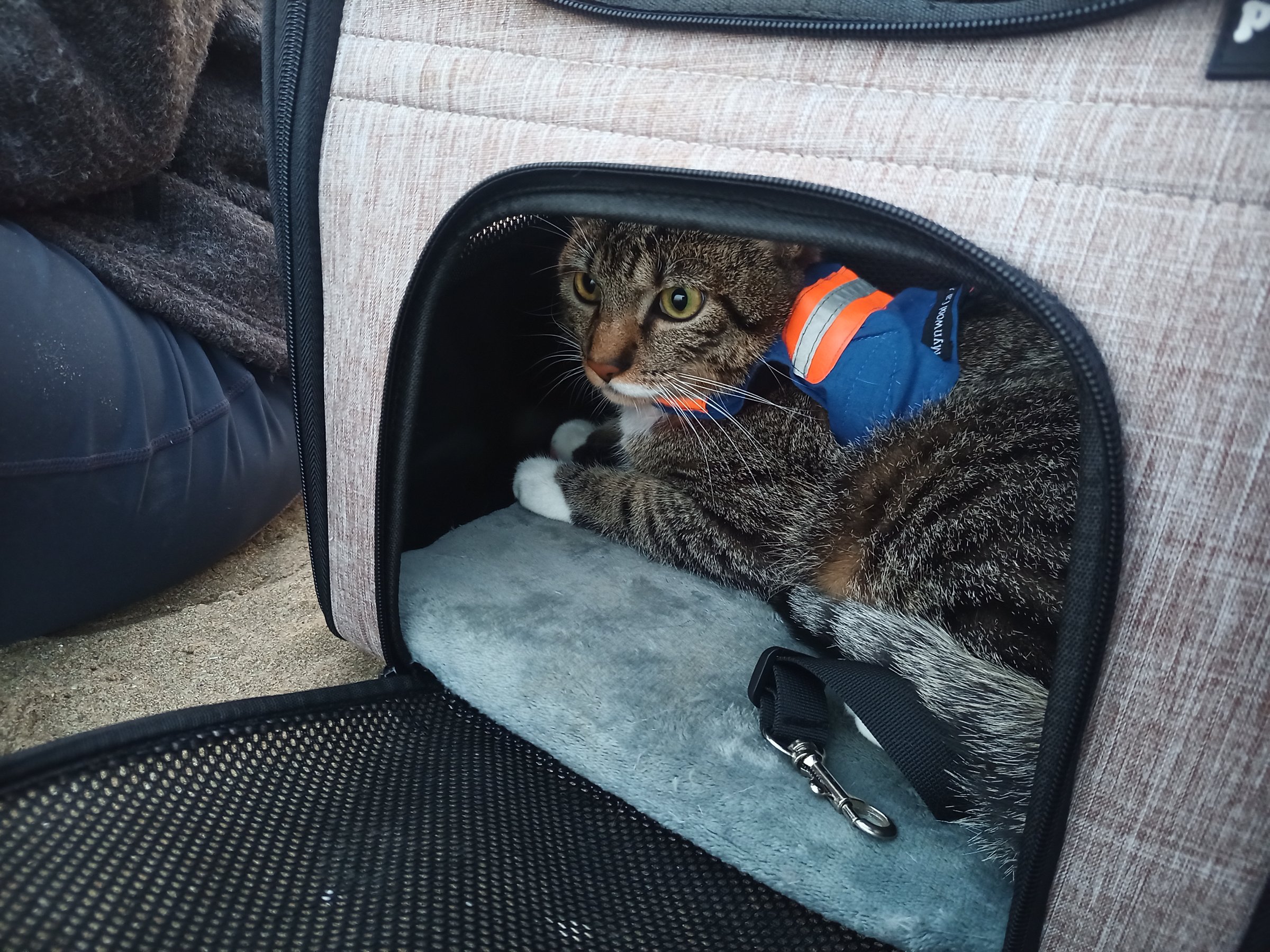 IMG 20230506 201551 942