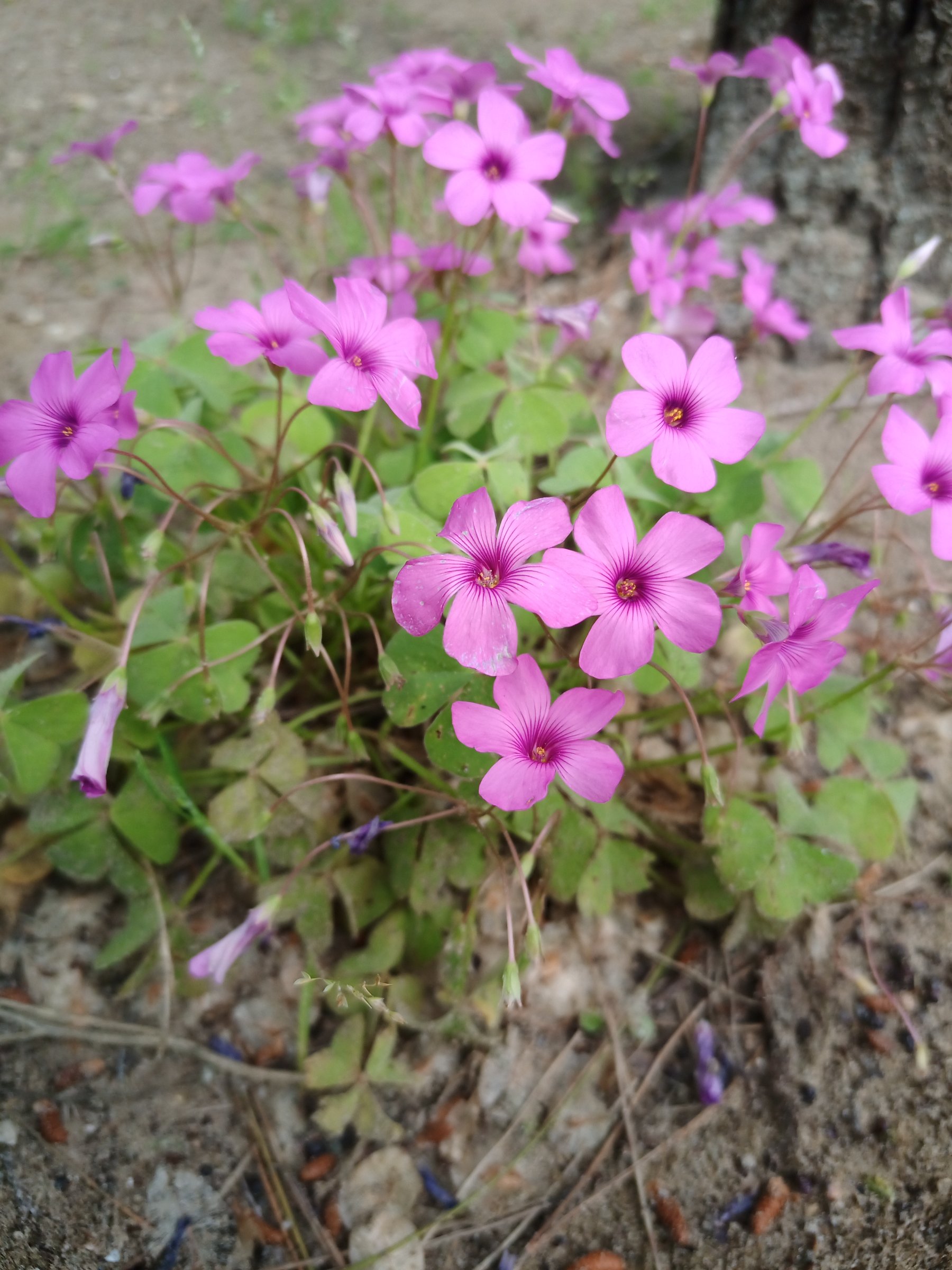 IMG 20230507 101943 594