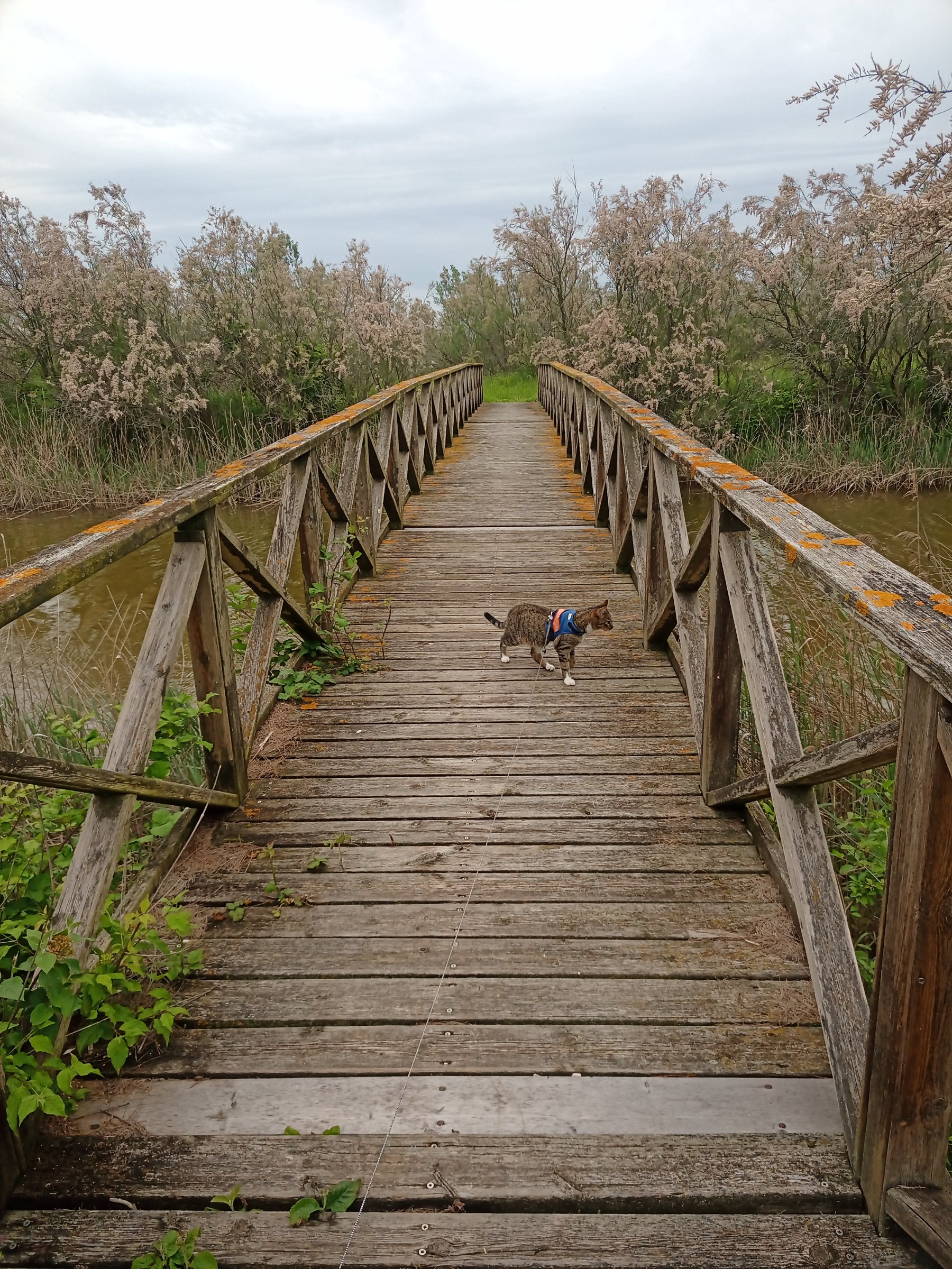 IMG 20230508 153640 515