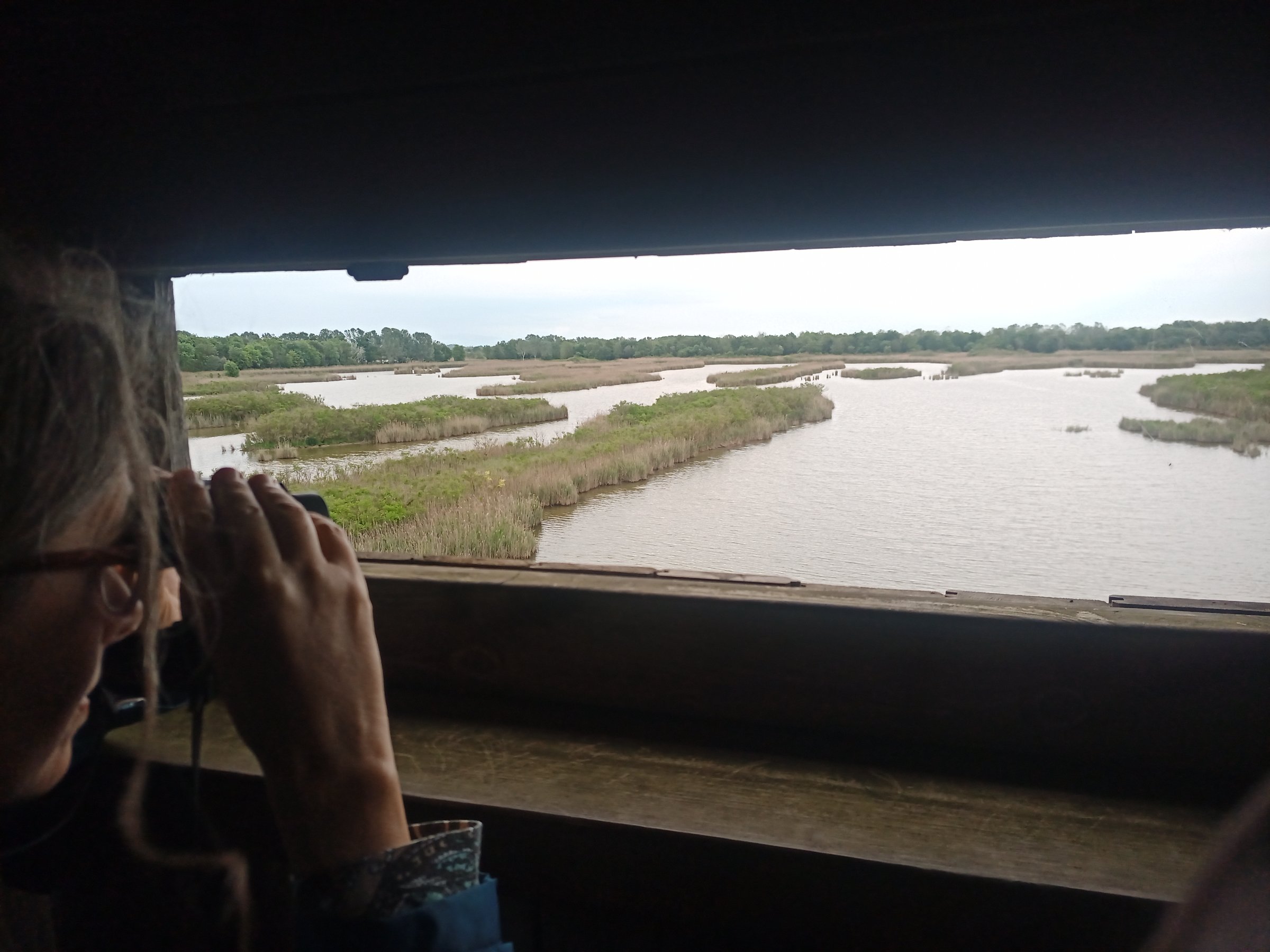 IMG 20230508 181024 735