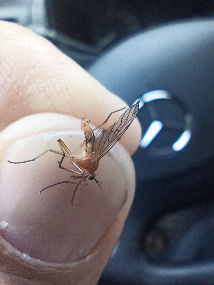 IMG 20230511 113552 939