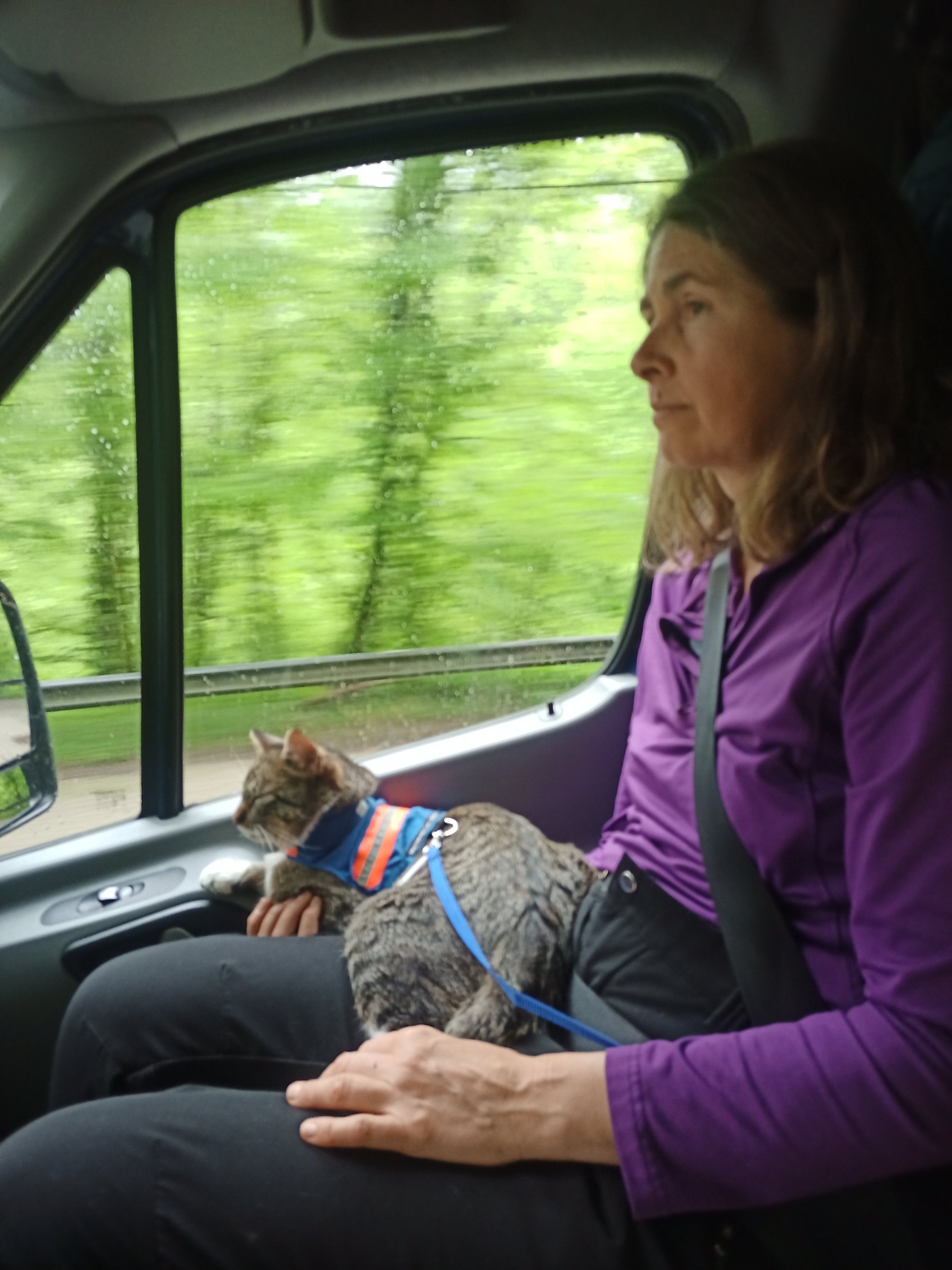 IMG 20230511 131134 700