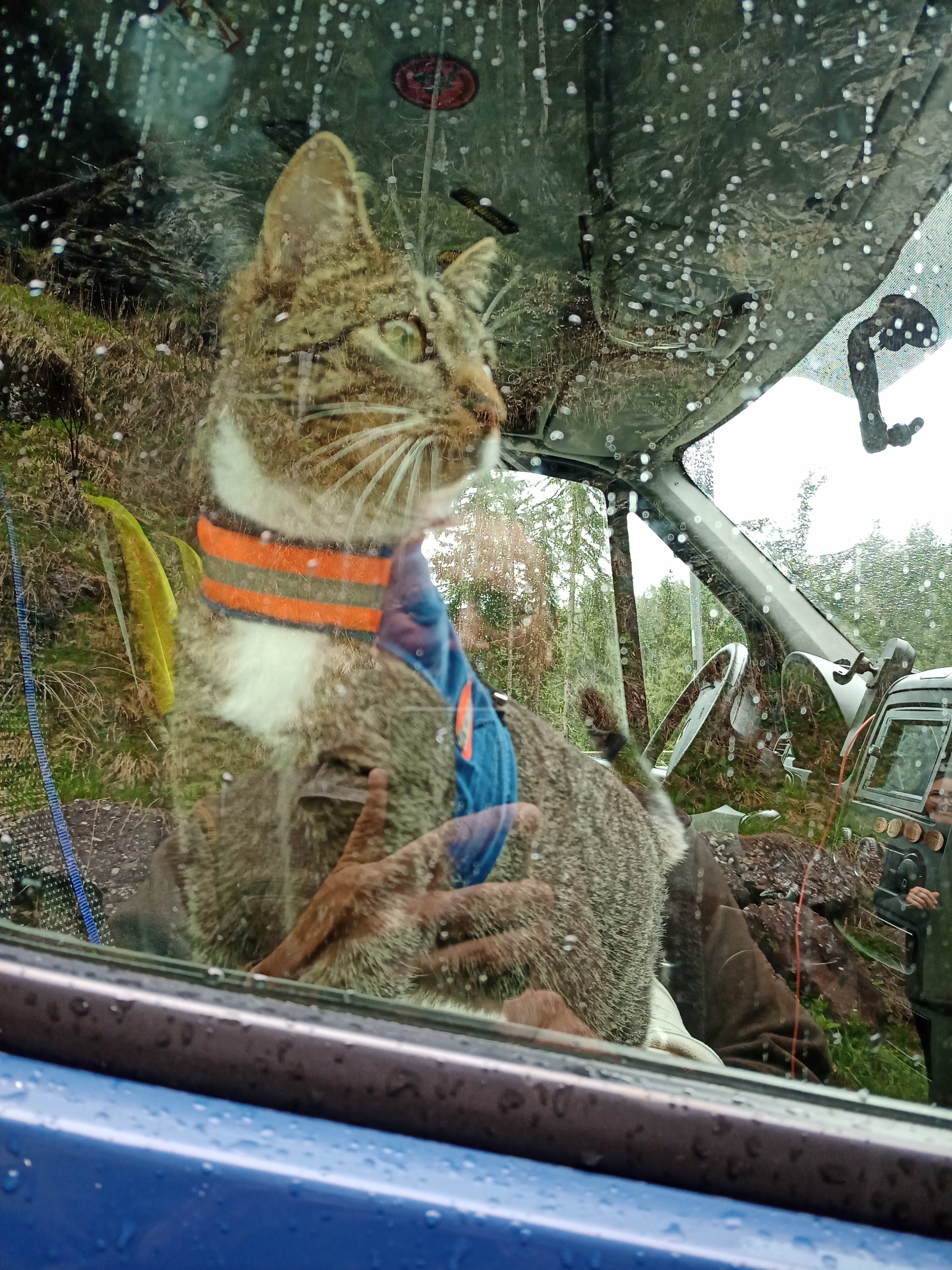 IMG 20230512 120723 095