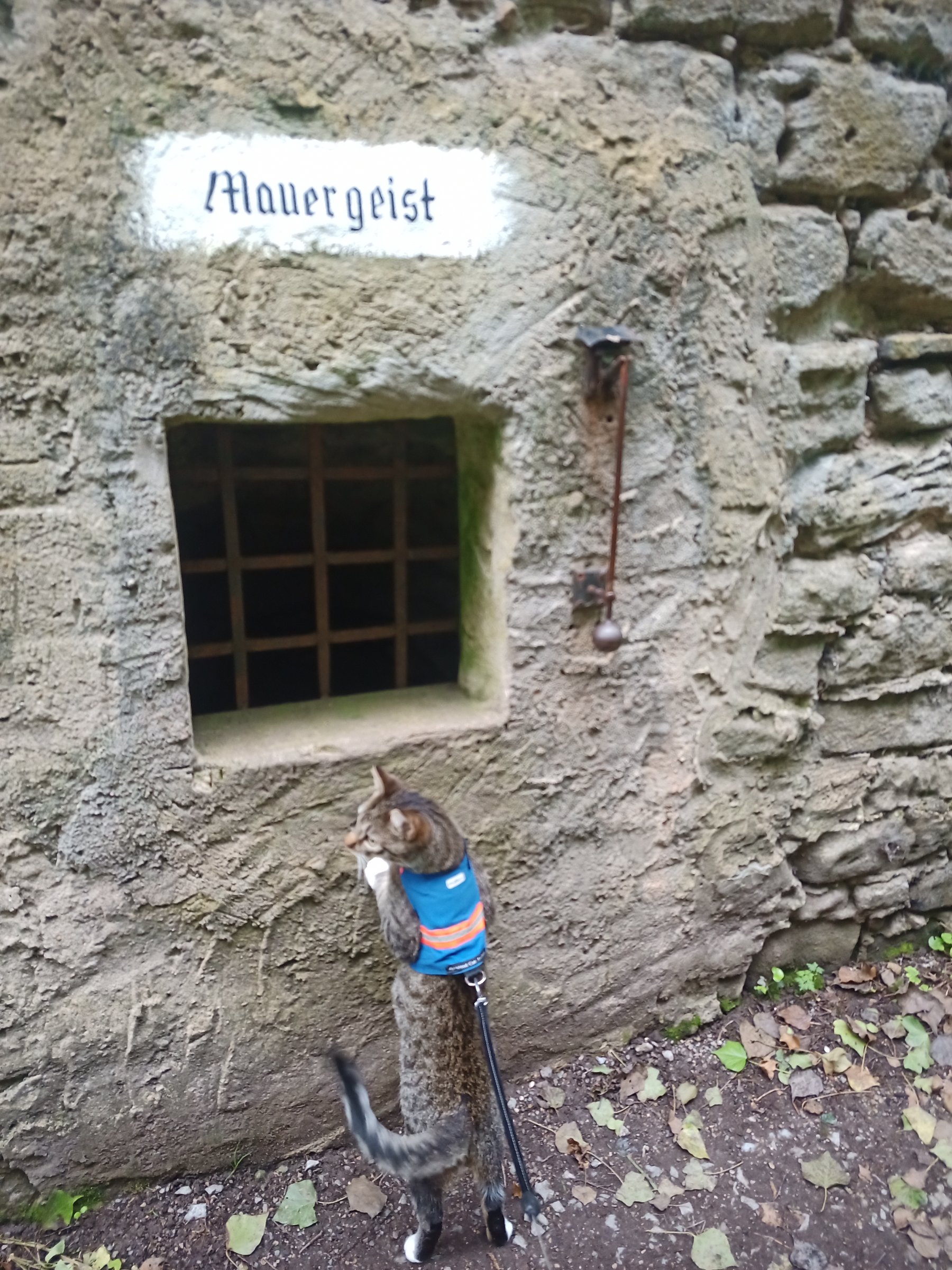 IMG 20230513 193048 827